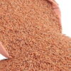 Khapli emmer wheat